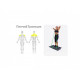 Платформа для фитнеса HOME GYM